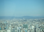 2007_0317E00310002.jpg